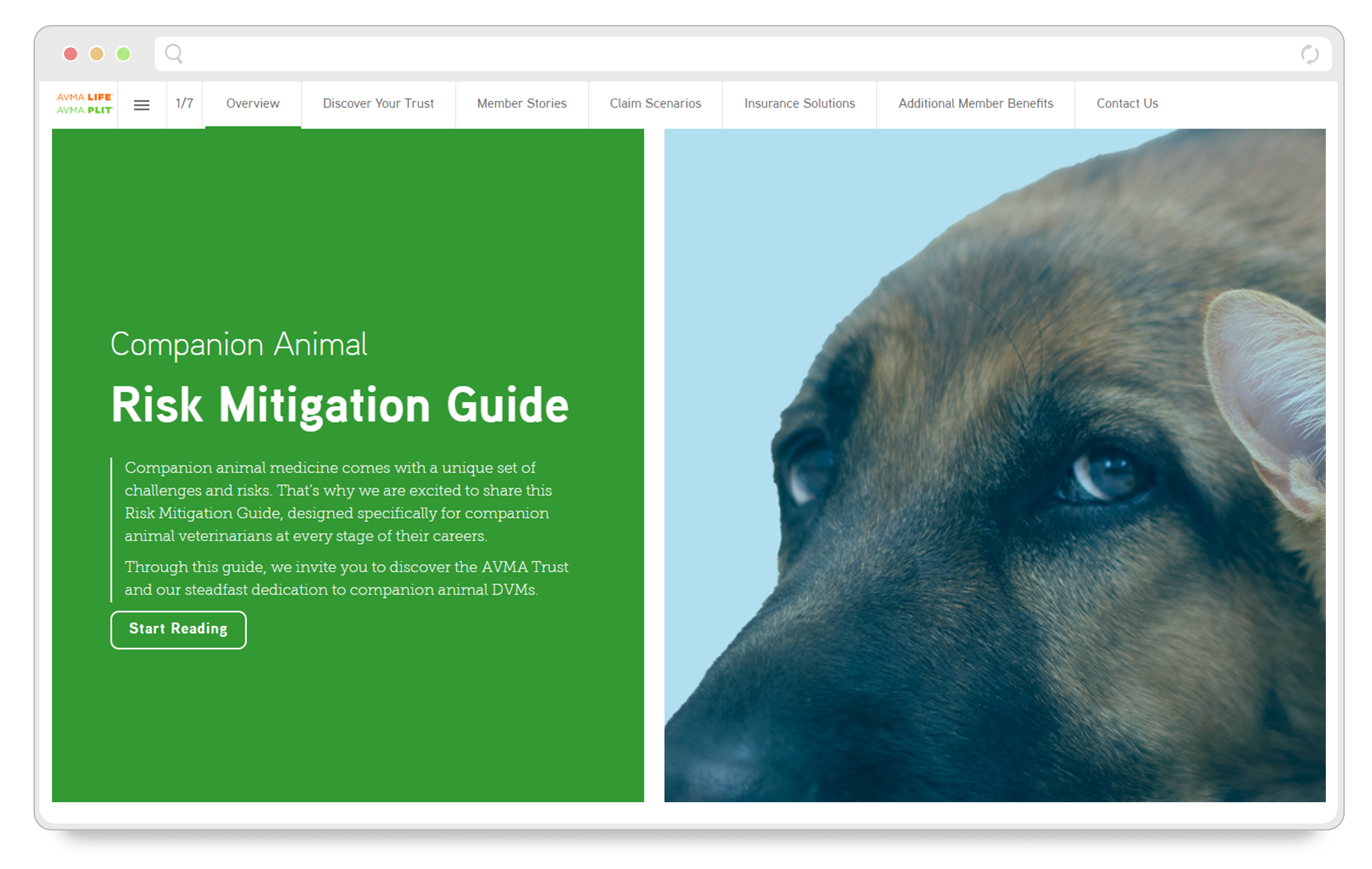 risk-mitigation-guide-companion