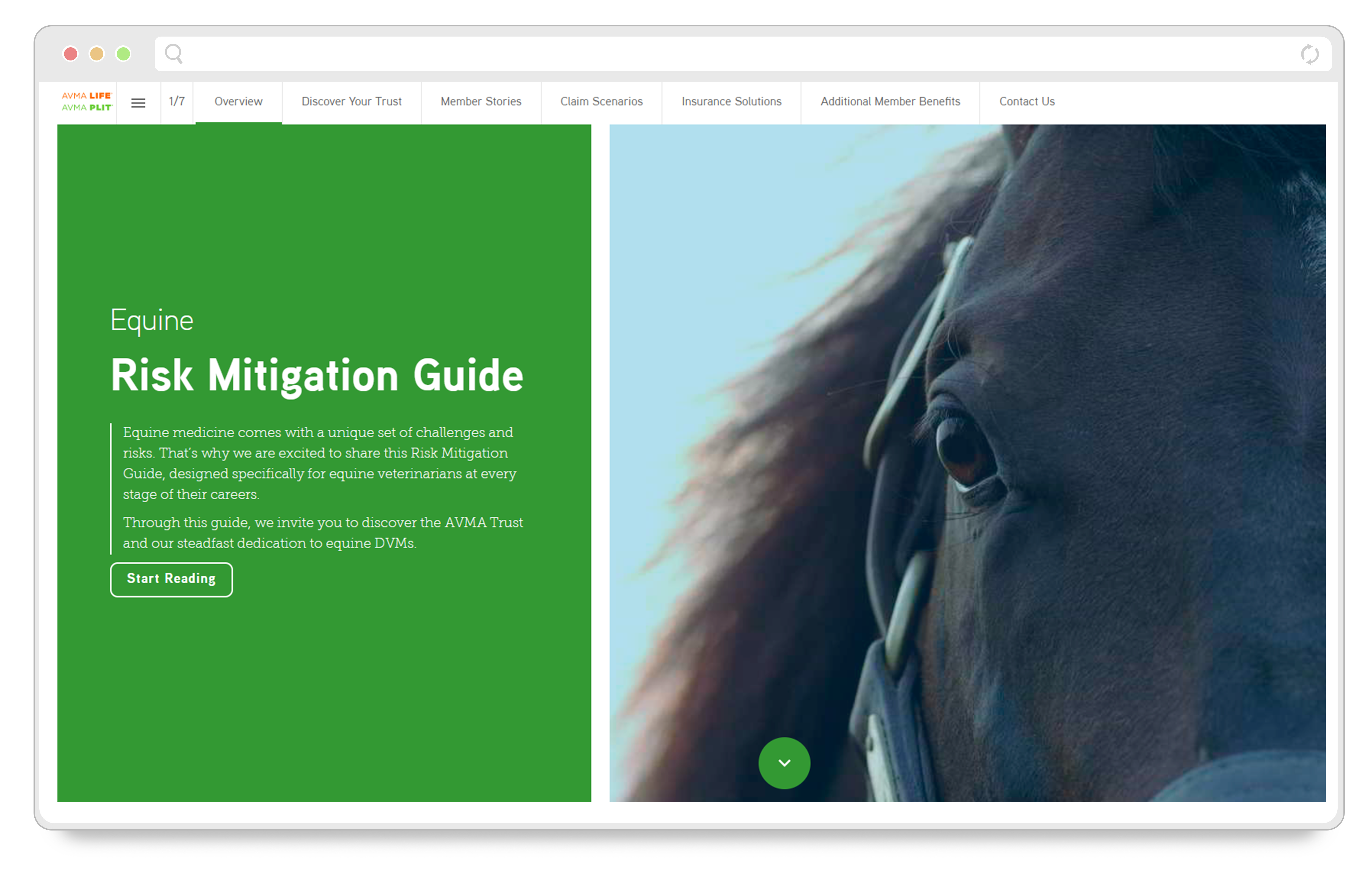 risk-mitigation-guide-equine
