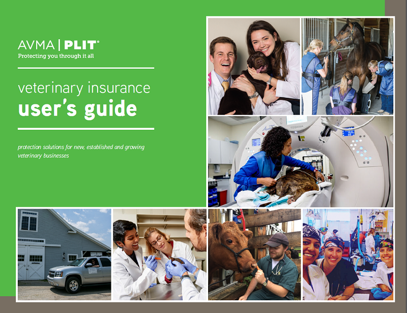 user guide website thumbnail